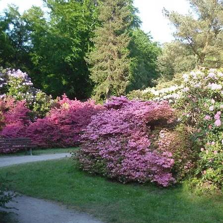 Kuestenwald - Igelbau Muritz