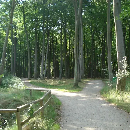 Kuestenwald - Igelbau Muritz