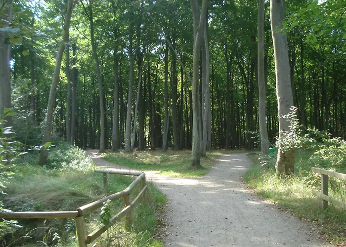 Kuestenwald - Igelbau * Muritz