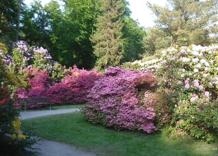 公寓 Kuestenwald - Igelbau